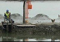 《江湖行釣魚視頻》21 涉釣初春大白鯉
