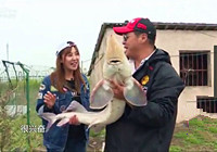 《江湖行釣魚視頻》176 上海黑坑體驗釣鱘魚