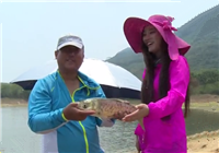 《江湖行釣魚視頻》第179集 海南作釣石鯪魚