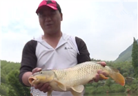 《江湖行》第181集 香湖水庫探釣大物