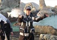 《江湖行釣魚視頻》141 韓國濟州島海釣之旅(下)