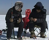 《江湖行釣魚視頻》121 內蒙古城中草原冰原牧魚