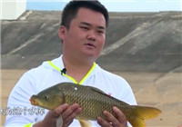 《江湖行釣魚視頻》178 三亞黑坑垂釣之旅