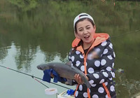 《江湖行釣魚視頻》165 江西山體水庫冬釣大烏青魚