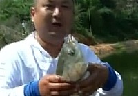 《江湖行釣魚視頻》102 逐鯇粵東南