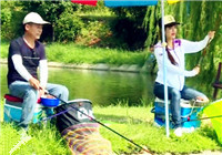 《就這樣釣魚》第116期 黑坑作釣羅非的技巧