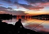 《就這樣釣魚》第74集 范寧講解夜釣黑坑的開餌選層技巧