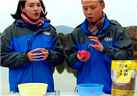 《就這樣釣魚》第137期 春季水庫釣鯽魚開餌技巧