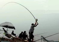 《就這樣釣魚》第68集 實戰中熟練掌握拋竿釣操作技巧
