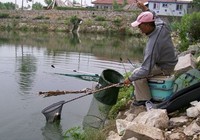 《就這樣釣魚》第70集 夏季黑坑垂釣大鯽魚技巧