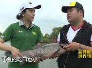 《就這樣釣魚》第64集 陰雨天低氣壓搏大物識漂技法