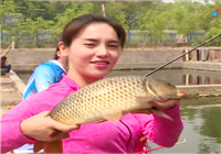 《就這樣釣魚》 第104集 陳飛黑坑釣大鯉