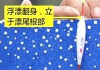 《就這樣釣魚》第11集 如何掌握浮標的信號