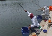 《就這樣釣魚》第73集 范寧講解垂釣黑坑使用飛鉛釣法如何開餌施釣