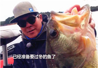 《酷玩路亞》20161209 立冬季氣溫驟降，托馬斯“天頂”獵鱸