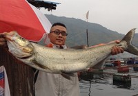 《南水北釣》第2集 湖北丹江口水庫腥香拉餌野釣大翹嘴