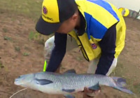 《強者制勝》第9集 丹江水庫爆竿后怒擒大青魚