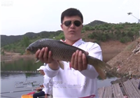 《涉釣英雄傳》 第121集 大黑汀水庫擒獲大草魚