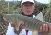 《涉釣英雄傳》第75集 臨武“怪塘”雨中釣魚百斤總重