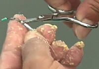 《涉釣英雄傳》第13集 東莞虎門飛烏頭