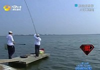 《涉釣英雄傳》第72集 六安老圈行水庫釣大草魚