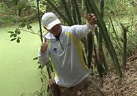 《涉釣英雄傳》第105集 廣西鳳凰谷路亞探釣軍魚