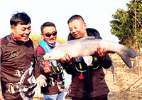 《涉釣英雄傳》第145集 王忠嶺蘇州黑坑擒巨物