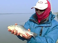 《涉釣英雄傳》第82集 浙江胡陳港水庫垂釣大鯽魚