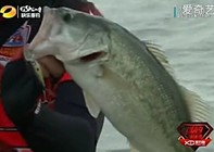 《涉釣英雄傳》第79集 韓國路亞鱸魚任務