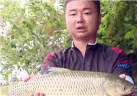 《涉釣英雄傳》第132集 白蓮河水庫尋大物