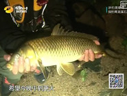 《涉釣英雄傳》第94集 探釣青龍溪石斑