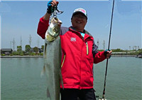《托馬斯路亞日記》 明珠湖春季探釣收獲米級翹嘴魚