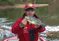 《托馬斯路亞日記》 春季昆明玉龍灣路亞鱸魚