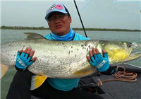 《托馬斯路亞日記》 再戰明珠湖釣獲一米六長度鳡魚