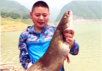 《漁樂工作站》第120集 自然水庫“冰淇淋”釣法釣鯰魚