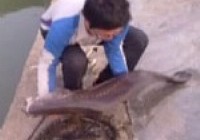 《漁樂工作站》第19集 磯釣中“水鬼”嚇出一身冷汗