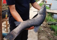 《漁樂工作站》第78集 湖南長沙工作站站長講解搏大魚技巧