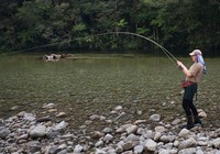《漁樂工作站》第88集 廣東釣魚達人傳授飛魚技巧