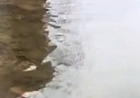 《漁樂工作站》第30集 湖南懷化