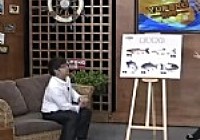 《有余說漁》第52集 樂享夏季野釣