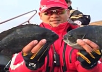《有余說漁》第81集 冬季浙江磯釣攻略海釣浪崗島