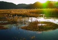 《越野越釣》20151106 河北唐山古冶區野釣鰱鳙擒大鯉