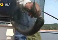 《漁樂生活》第9集 垂釣玩家陳引的釣魚心經