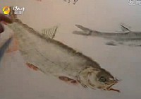 《漁樂生活》第8集 易洪鈞對漁樂的獨到享受