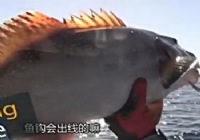 《漁樂生活》第70集 Billy的環球游釣之旅釣魚視頻