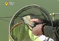 《漁樂生活》第12集 張瑞杰的釣魚心態