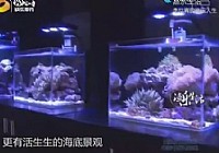 《漁樂生活》第56集 李竹青的漁樂人生