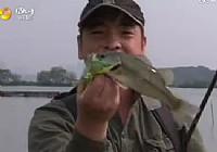 《漁樂生活》第10集 洞庭漁人趙勇的路亞情懷