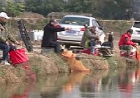 《漁樂生活》第20集 以漁為樂汪德兵