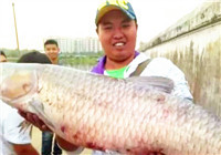 《魚資漁味》20161230 楊凌峰黑坑意外獲巨青